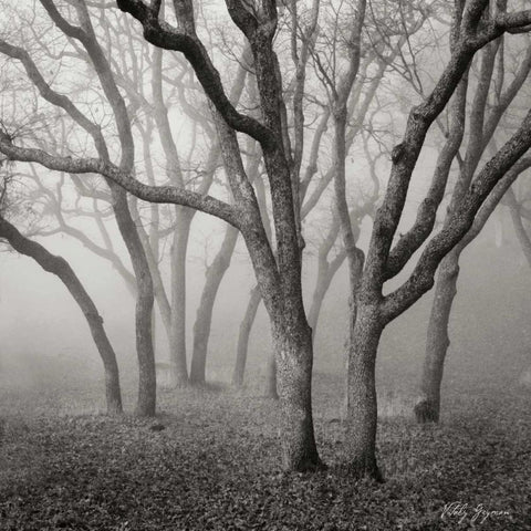 Misty Dance Sq White Modern Wood Framed Art Print by Vitaly, Geyman