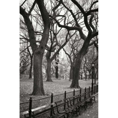 Central Park Dancers I Black Modern Wood Framed Art Print with Double Matting by Vitaly, Geyman