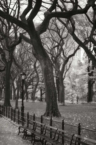 Central Park Dancers II Black Ornate Wood Framed Art Print with Double Matting by Vitaly, Geyman