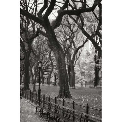 Central Park Dancers II Black Modern Wood Framed Art Print with Double Matting by Vitaly, Geyman