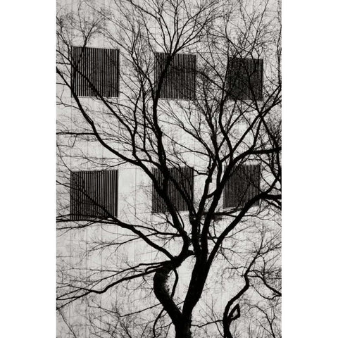 Cityscape I Black Modern Wood Framed Art Print with Double Matting by Vitaly, Geyman