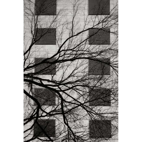 Cityscape II Black Modern Wood Framed Art Print by Vitaly, Geyman