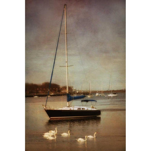 Sunset Sailing II Black Modern Wood Framed Art Print by Vitaly, Geyman