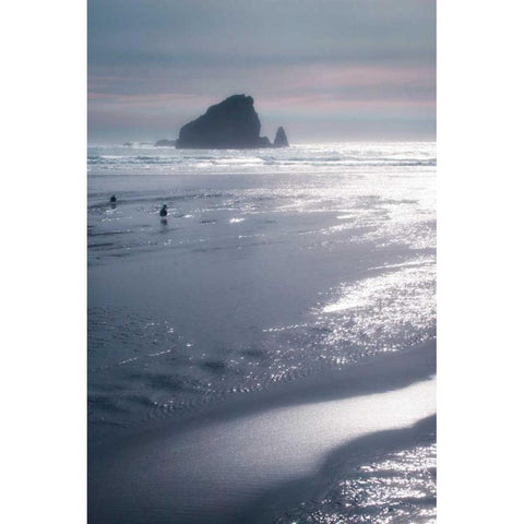 Seashore Serenity II Black Modern Wood Framed Art Print by Geyman, Vitaly