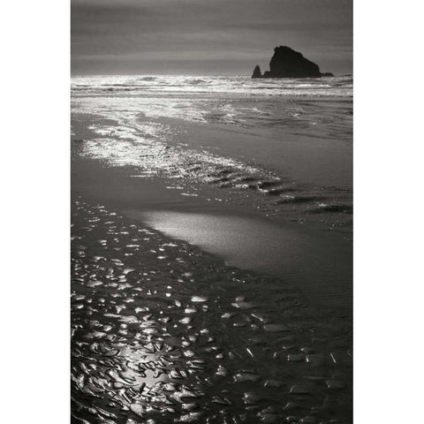 Seashore Serenity I BW Black Modern Wood Framed Art Print with Double Matting by Geyman, Vitaly