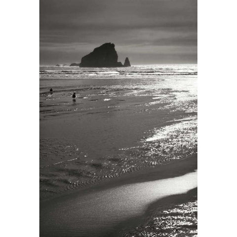 Seashore Serenity II BW White Modern Wood Framed Art Print by Geyman, Vitaly