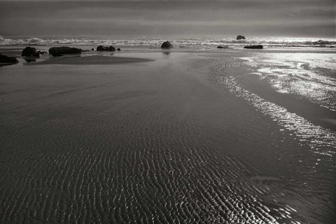 Seashore Serenity III BW Black Ornate Wood Framed Art Print with Double Matting by Geyman, Vitaly