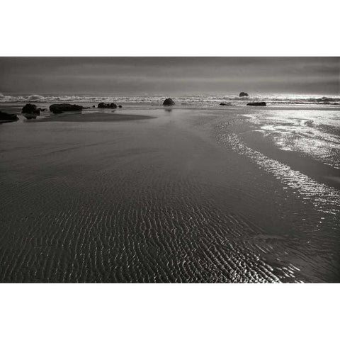 Seashore Serenity III BW Gold Ornate Wood Framed Art Print with Double Matting by Geyman, Vitaly