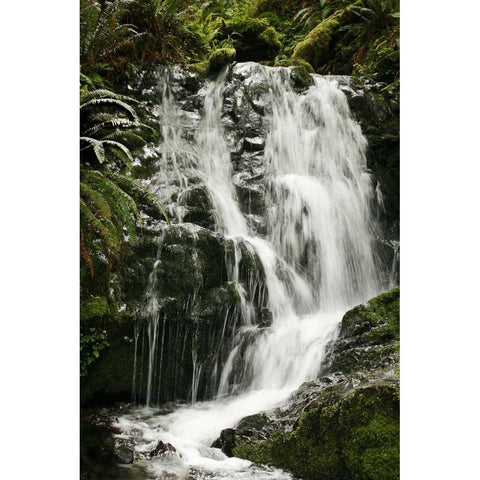 Waterfall I White Modern Wood Framed Art Print by Geyman, Vitaly
