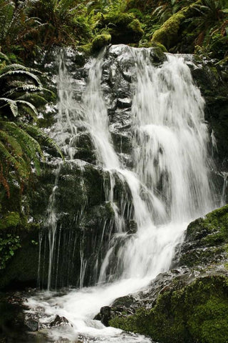 Waterfall I Black Ornate Wood Framed Art Print with Double Matting by Geyman, Vitaly
