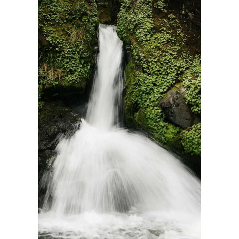 Waterfall II Gold Ornate Wood Framed Art Print with Double Matting by Geyman, Vitaly