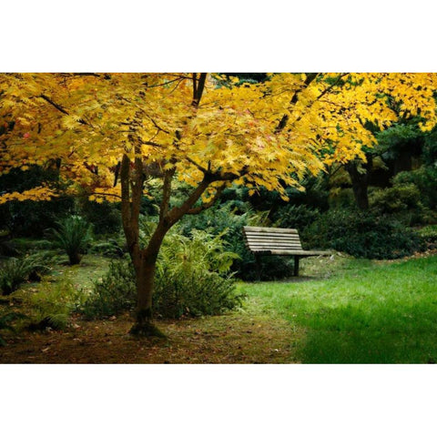 Contemplation I Black Modern Wood Framed Art Print by Geyman, Vitaly