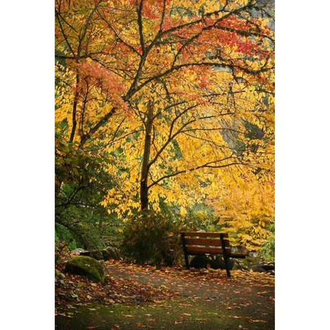 Fall Abundance I Black Modern Wood Framed Art Print by Geyman, Vitaly