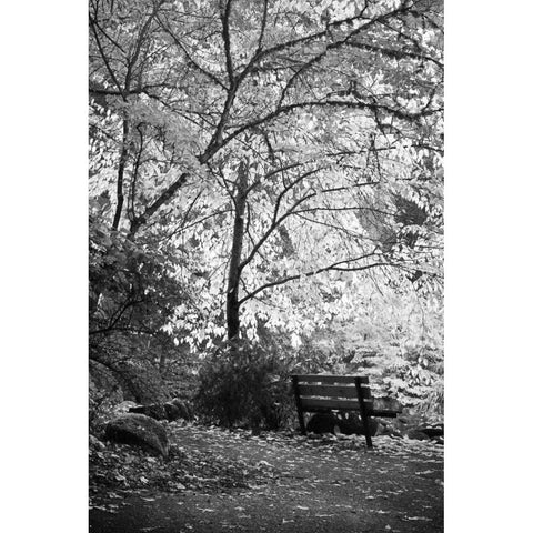 Fall Abundance I B and W Black Modern Wood Framed Art Print with Double Matting by Geyman, Vitaly