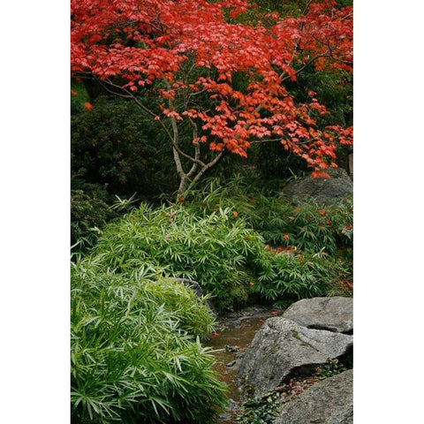 Fall Abundance III Black Modern Wood Framed Art Print by Geyman, Vitaly