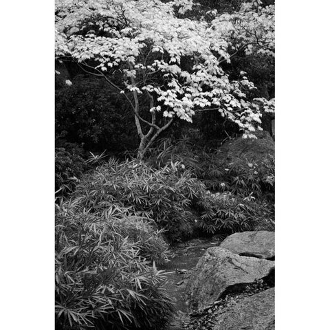 Fall Abundance III B and W Black Modern Wood Framed Art Print with Double Matting by Geyman, Vitaly