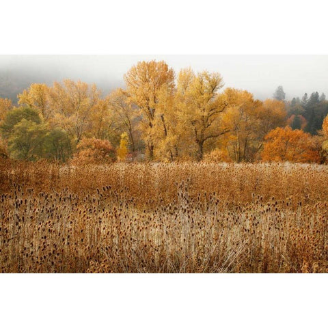 Field of Gold II Gold Ornate Wood Framed Art Print with Double Matting by Geyman, Vitaly
