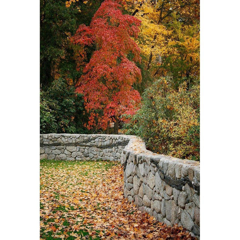 Fall Colors II White Modern Wood Framed Art Print by Geyman, Vitaly