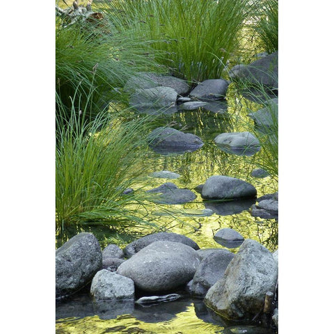 Lucious Falls I Black Modern Wood Framed Art Print with Double Matting by Geyman, Vitaly