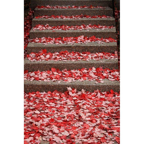 Red Carpet I White Modern Wood Framed Art Print by Geyman, Vitaly