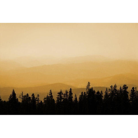 Shasta Silence I White Modern Wood Framed Art Print by Geyman, Vitaly