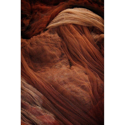 Fish Net Mystery III Black Modern Wood Framed Art Print by Geyman, Vitaly