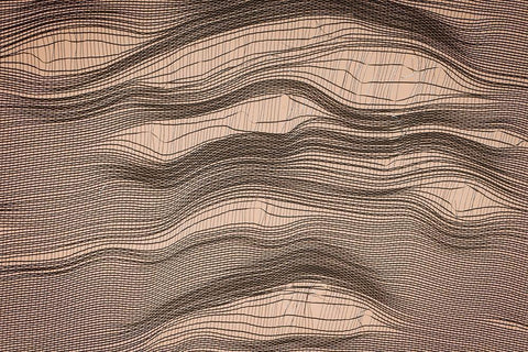 Net Art I Black Ornate Wood Framed Art Print with Double Matting by Geyman, Vitaly