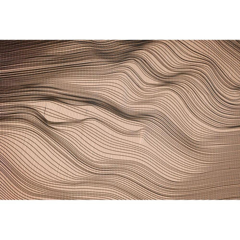 Net Art II Black Modern Wood Framed Art Print with Double Matting by Geyman, Vitaly