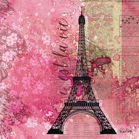 Pink Paris White Modern Wood Framed Art Print with Double Matting by Roberto, LuAnn