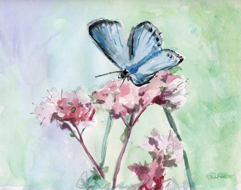 Watercolor Butterfly I White Modern Wood Framed Art Print with Double Matting by Roberto, LuAnn