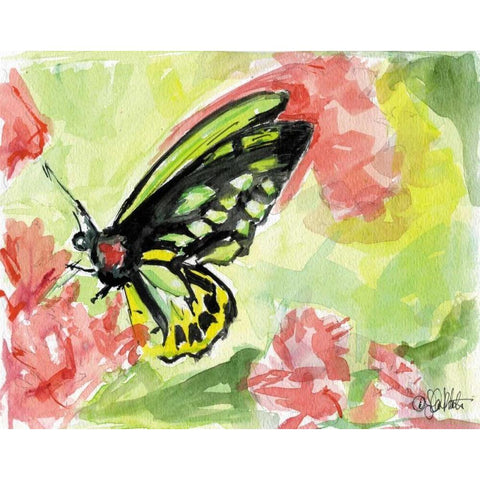 Watercolor Butterfly II Black Modern Wood Framed Art Print with Double Matting by Roberto, LuAnn