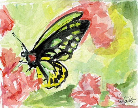 Watercolor Butterfly II Black Ornate Wood Framed Art Print with Double Matting by Roberto, LuAnn