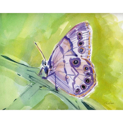 Watercolor Butterfly IV Gold Ornate Wood Framed Art Print with Double Matting by Roberto, LuAnn