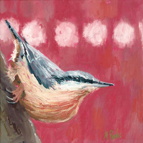 Hope Nuthatch White Modern Wood Framed Art Print by Reeves, Molly