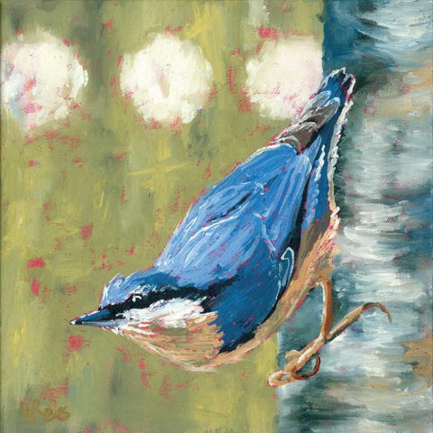 Life Nuthatch White Modern Wood Framed Art Print with Double Matting by Reeves, Molly