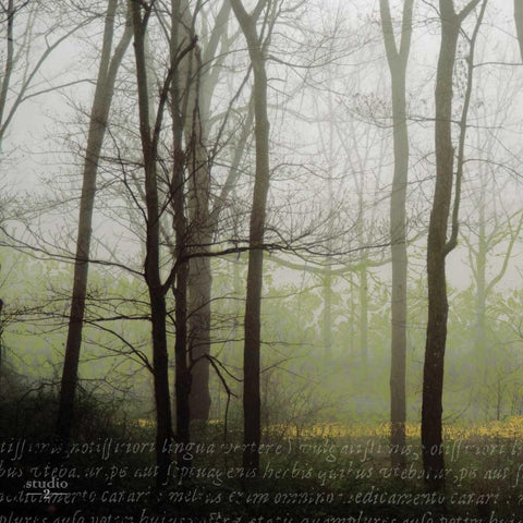 Partners III Black Modern Wood Framed Art Print with Double Matting by Studio 2