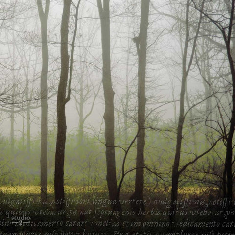 Partners IV Gold Ornate Wood Framed Art Print with Double Matting by Studio 2