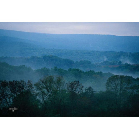 Nestled In I Black Modern Wood Framed Art Print by Studio 2