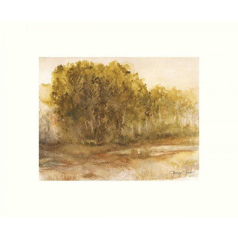 Three Lakes Cottonwoods Black Modern Wood Framed Art Print with Double Matting by Sheler, Sammy