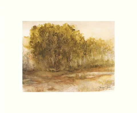 Three Lakes Cottonwoods Black Ornate Wood Framed Art Print with Double Matting by Sheler, Sammy