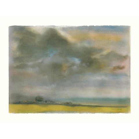 Summer Storm Black Modern Wood Framed Art Print by Sheler, Sammy