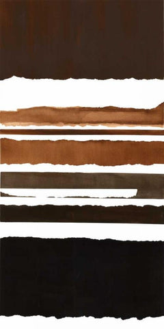 Stripes Black Ornate Wood Framed Art Print with Double Matting by Sheler, Sammy