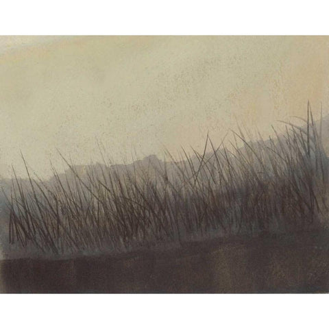 Marshland Grasses Black Modern Wood Framed Art Print by Sheler, Sammy