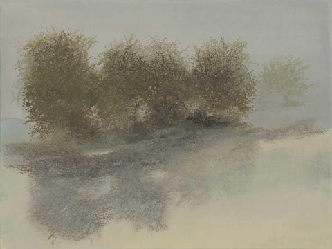 Orchard Row White Modern Wood Framed Art Print with Double Matting by Sheler, Sammy