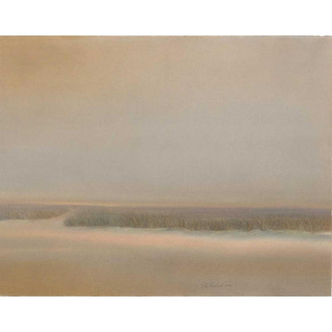 Evening Marsh Black Modern Wood Framed Art Print with Double Matting by Sheler, Sammy