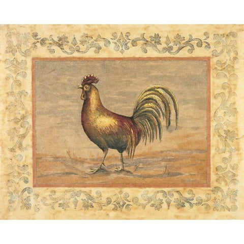 Rooster White Modern Wood Framed Art Print by Schippel, Banafshe