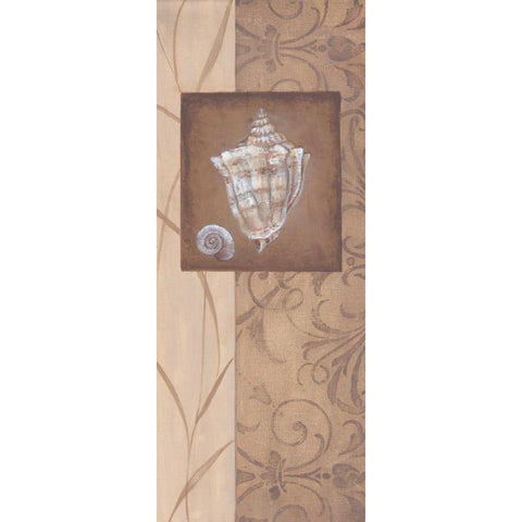 Sand Shell I Black Modern Wood Framed Art Print with Double Matting by 3 Bamboo Studio