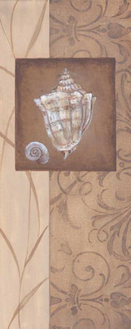 Sand Shell I Black Ornate Wood Framed Art Print with Double Matting by 3 Bamboo Studio