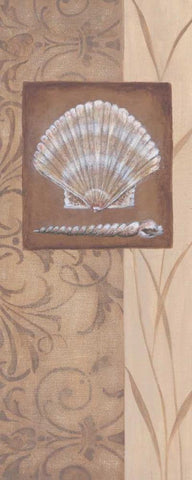 Sand Shell II Black Ornate Wood Framed Art Print with Double Matting by 3 Bamboo Studio