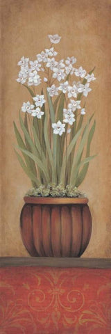 Paperwhites I White Modern Wood Framed Art Print with Double Matting by 3 Bamboo Studio